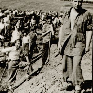 108/3-as muszos század, Marosfelfalu, 1941
